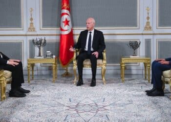 Crise environnementale à Gabès : Kaïs Saïed promet des mesures "urgentes"