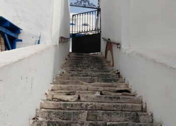 Snapshot - Sidi Bou Said : Même les escaliers du sanctuaire ne sont pas épargnés