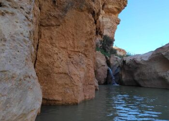 Snapshot - Sud Tunisie : Depuis juin, on se baigne à Tamerza