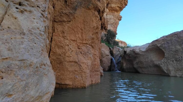Snapshot - Sud Tunisie : Depuis juin, on se baigne à Tamerza