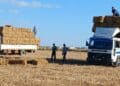Tunisie : Production record de semences sélectionnées pour la campagne céréalière