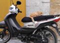 Snapshot : Monsieur le chat et son scooter