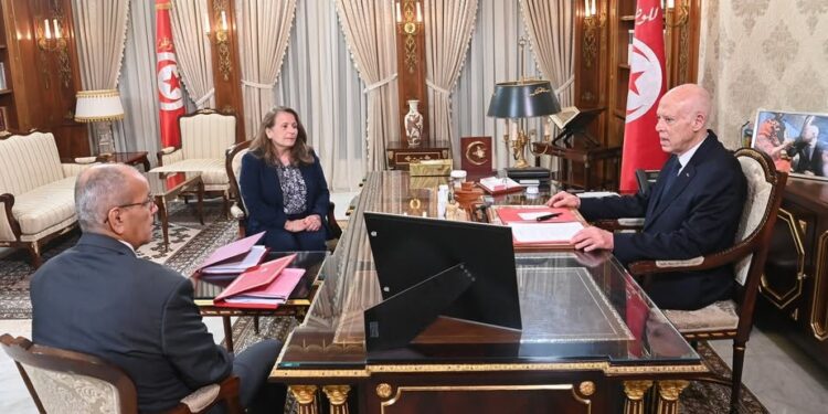 Kaïs Saïed ordonne une mission conjointe après une nouvelle fuite toxique