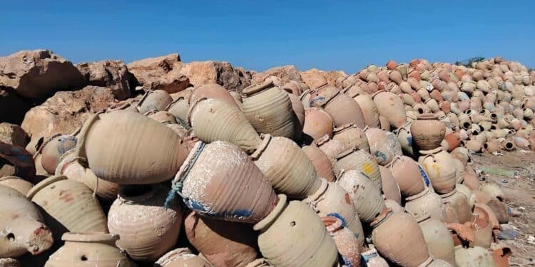 Snapshot - Djerba : Pièges à poulpes à Houmt Souk