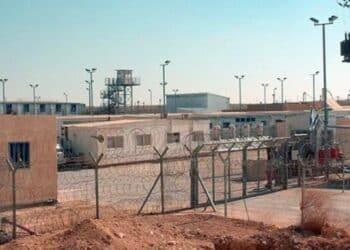 Les 25 Tunisiens de la flottille pour Gaza devraient être expulsés vers la Jordanie