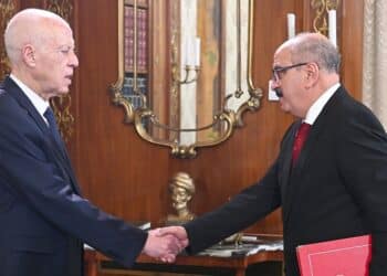 Affaire Sonia Dahmani : Saïed fustige ouvertement les Européens (Vidéo)