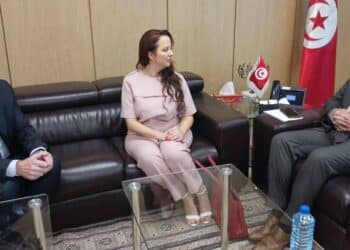 Aéronautique : Tunis et Paris renforcent leur partenariat industriel