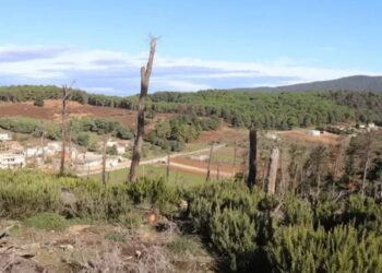 Tunisie : Création d’une nouvelle zone touristique à Aïn Draham