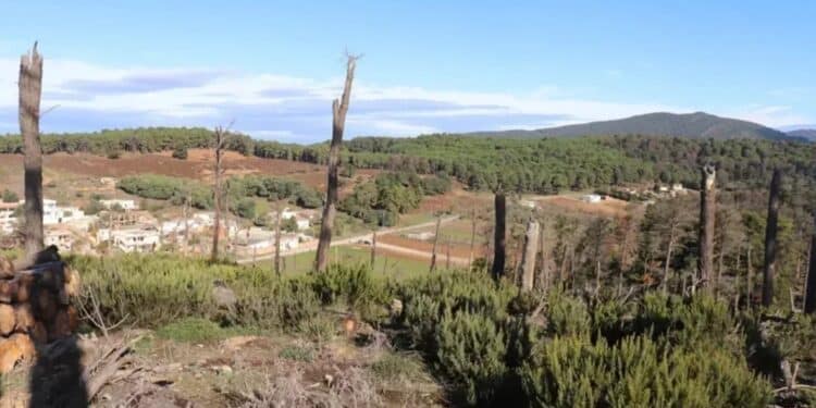 Tunisie : Création d’une nouvelle zone touristique à Aïn Draham