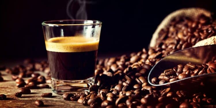 Café en Tunisie : La filière se structure pour rompre avec les pénuries et le marché parallèle