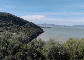 Djebel Ichkeul : Tortues magiques, canards sauvages et Jamous el Bey