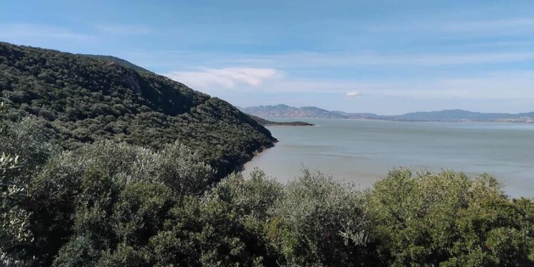 Djebel Ichkeul : Tortues magiques, canards sauvages et Jamous el Bey