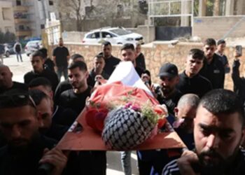 Gaza : l’UNICEF alerte sur une “trêve meurtrie” pour les enfants