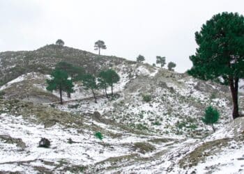 Vague de froid et premières neiges en Tunisie