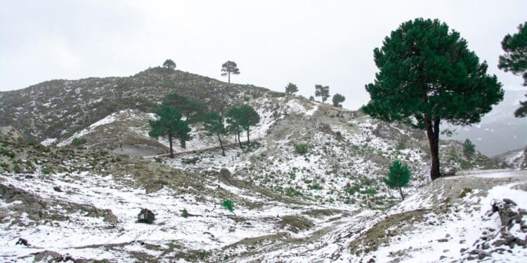 Vague de froid et premières neiges en Tunisie