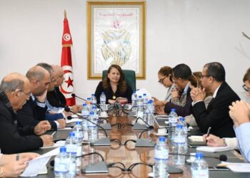 Ministère de l'Industrie, des Mines et de l'Energie - Fatma Thabet Chiboub