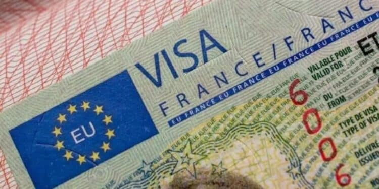 Visas France-Tunisie : Une détente spectaculaire, les refus plongent à 18%