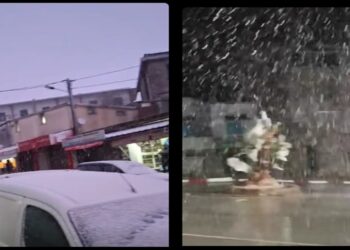 Premières chutes de neige en novembre - Ain Draham