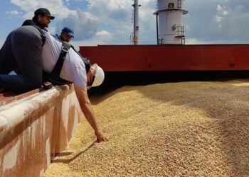 La Tunisie lance un appel d’offres international pour l’achat de 225.000 tonnes de blé