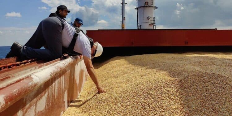 La Tunisie lance un appel d’offres international pour l’achat de 225.000 tonnes de blé