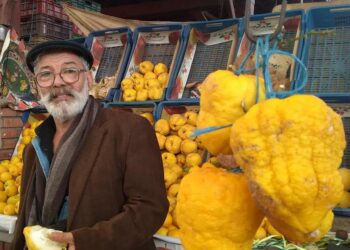 Everyday Tunisians : Noureddine entre effluves et senteurs fruitées