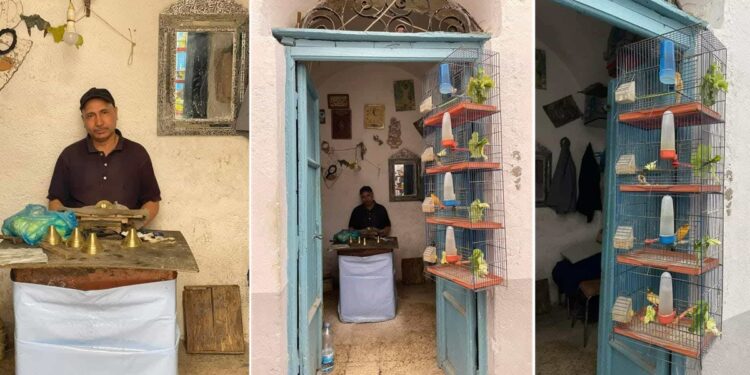 Everyday Tunisians : Habib, le cuivre et les canaris