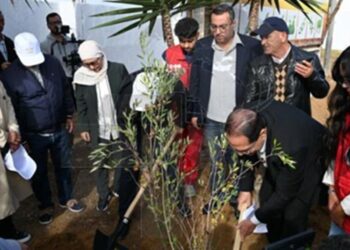 Le ministre de l’Environnement, Habib Obeid, plante symboliquement un arbre à l’occasion de la Fête nationale de l’Arbre