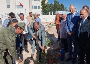 La région de Gabès a célébré, ce dimanche, la Fête nationale de l’Arbre