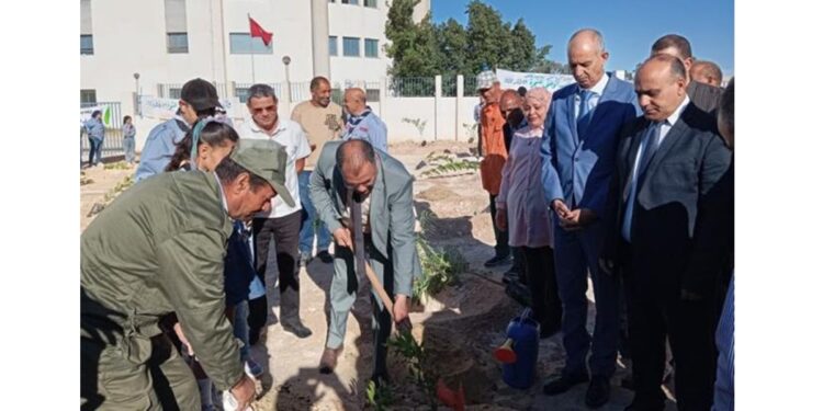La région de Gabès a célébré, ce dimanche, la Fête nationale de l’Arbre