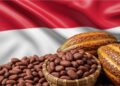Tunisie–Indonésie : un accord commercial préférentiel prêt à être signé