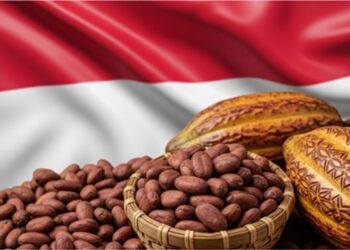 Tunisie–Indonésie : un accord commercial préférentiel prêt à être signé