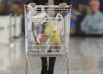 Tunisie - Inflation : Légère accalmie à 4,9% en octobre, selon l’INS