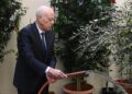 Kaïs Saïed, arrosant un jeune plant d’olivier lors de la cérémonie officielle de la Fête nationale de l’arbre.