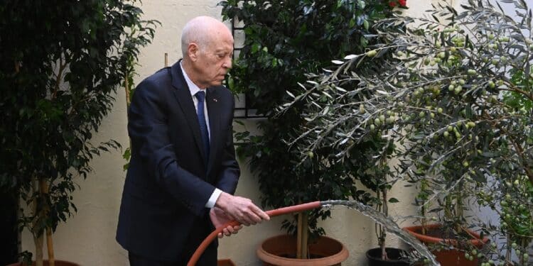 Kaïs Saïed, arrosant un jeune plant d’olivier lors de la cérémonie officielle de la Fête nationale de l’arbre.