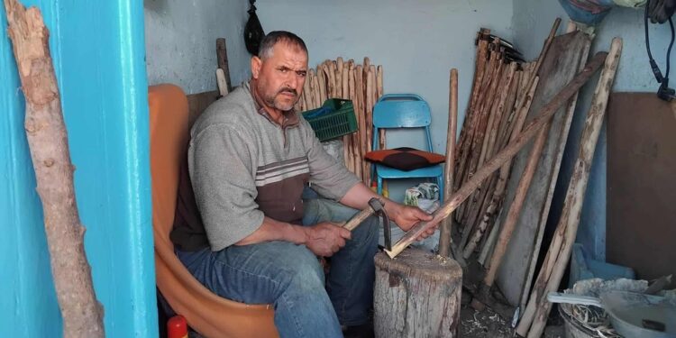 Everyday Tunisians : Antar de Testour