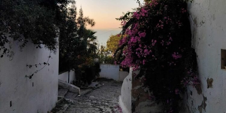 Patrimoine : Lella Chérifa et les compagnons de Sidi Bou Said