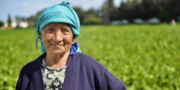 Everyday Tunisians : Paysanne dans la ville tentaculaire