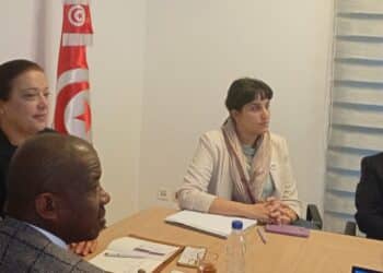 Le géant chinois GRITSIL s’intéresse à de futurs investissements en Tunisie