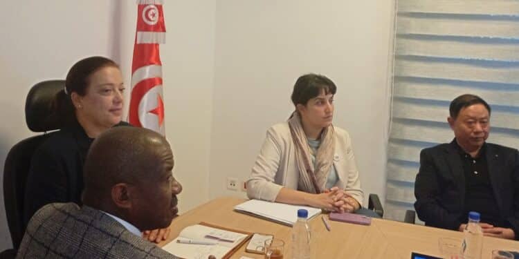 Le géant chinois GRITSIL s’intéresse à de futurs investissements en Tunisie