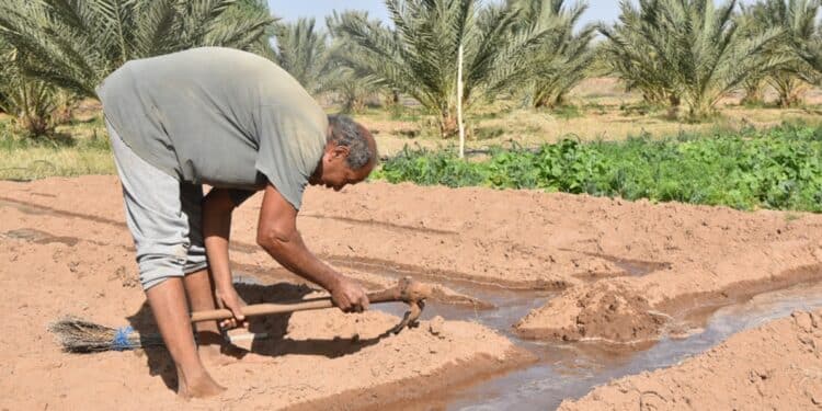 Tunisie : Des scénarios climatiques alarmants avant 2050, avertit le ministère de l’Agriculture