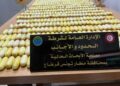 Aéroport de Tunis-Carthage : 627 capsules de cocaïne découvertes dans l’estomac de ressortissants étrangers