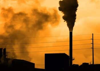 L’UE renforce son appui aux PME tunisiennes face au mécanisme carbone