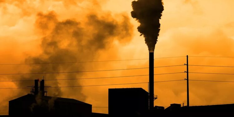 L’UE renforce son appui aux PME tunisiennes face au mécanisme carbone