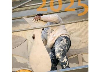 Art monumental : 52 poissons géants pour le Nouvel an