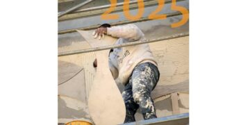 Art monumental : 52 poissons géants pour le Nouvel an