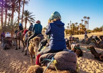 Tourisme saharien : Un salon international pour booster la destination Tunisie
