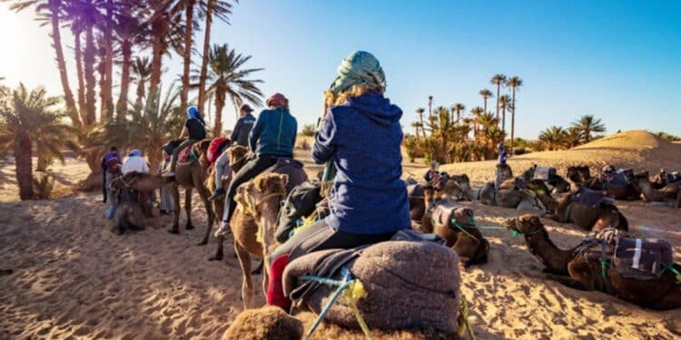 Tourisme saharien : Un salon international pour booster la destination Tunisie
