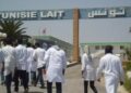 Industrie laitière : L’usine de Sidi Bou Ali relancée sous contrôle public avec « Tunisie Lait »