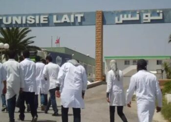 Industrie laitière : L’usine de Sidi Bou Ali relancée sous contrôle public avec « Tunisie Lait »