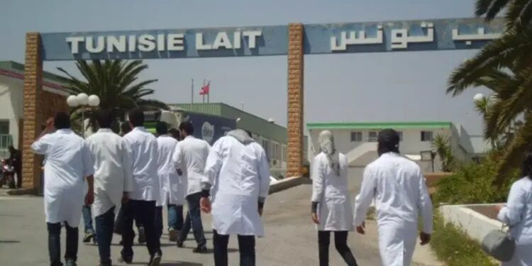 Industrie laitière : L’usine de Sidi Bou Ali relancée sous contrôle public avec « Tunisie Lait »